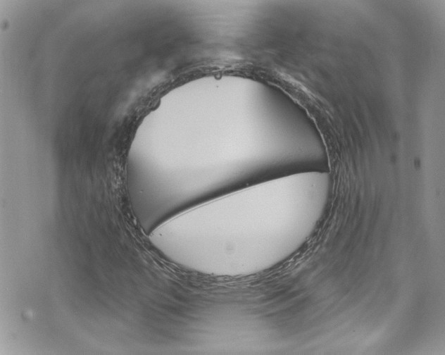 X0000070881447200606160959
