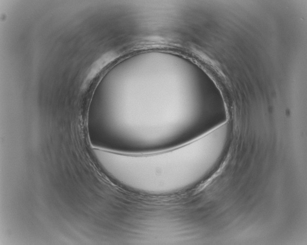 X0000070881453200606160959