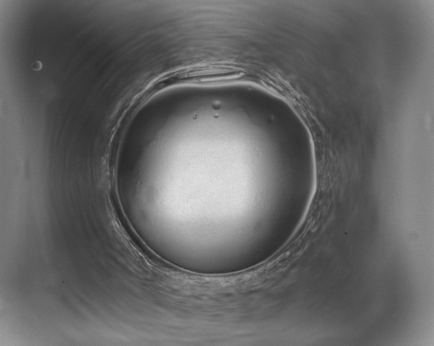 X0000070880002200606161215