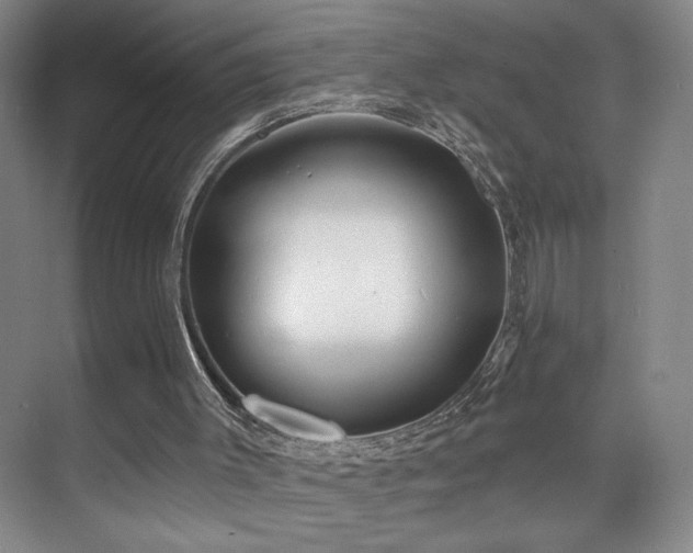 X0000070880003200606161215