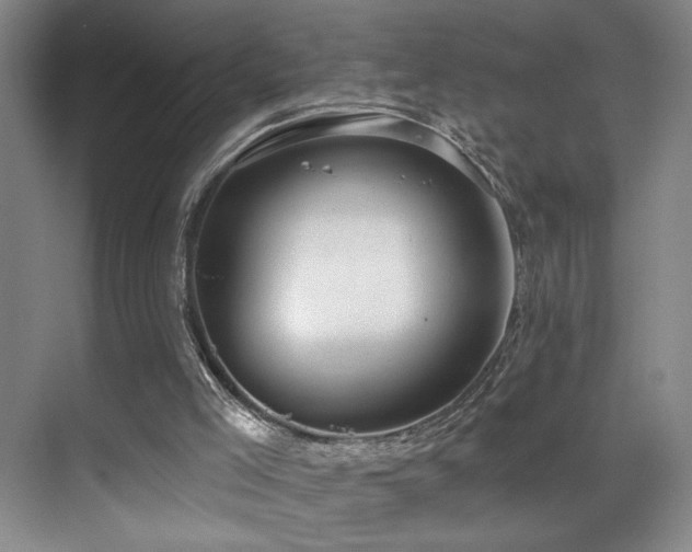 X0000070880005200606161215