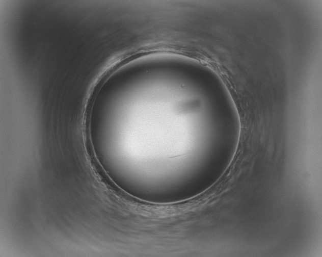 X0000070880006200606161215