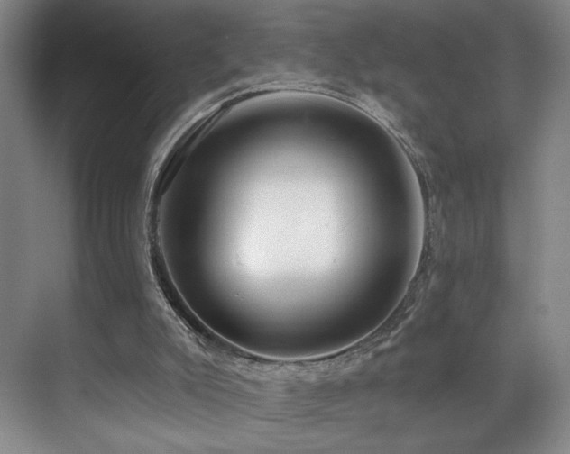 X0000070880007200606161215