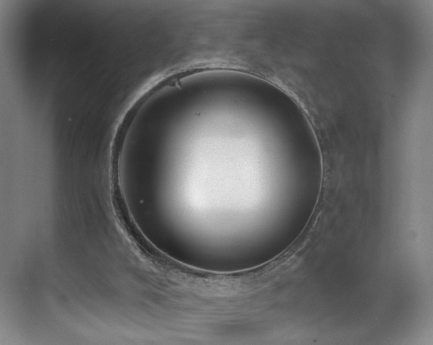 X0000070880008200606161215