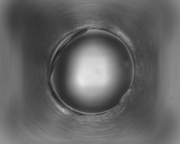 X0000070880009200606161215