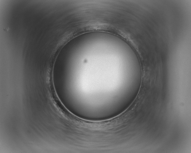 X0000070880010200606161214