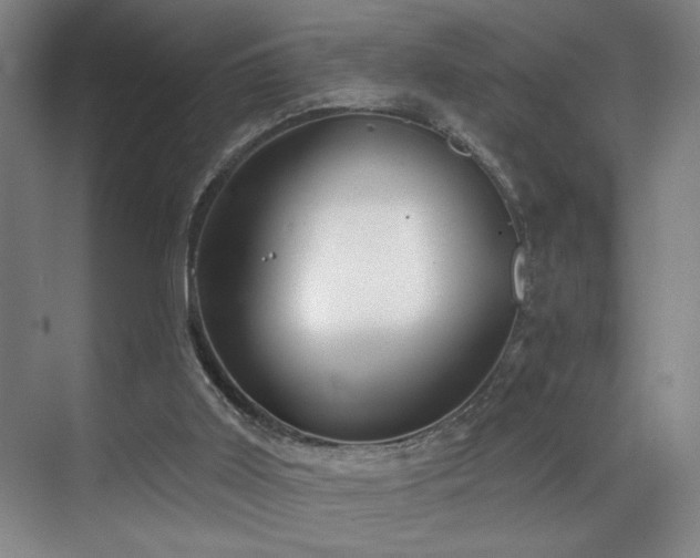 X0000070880011200606161214