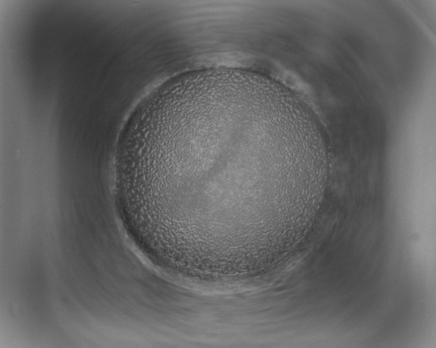 X0000070880012200606161214