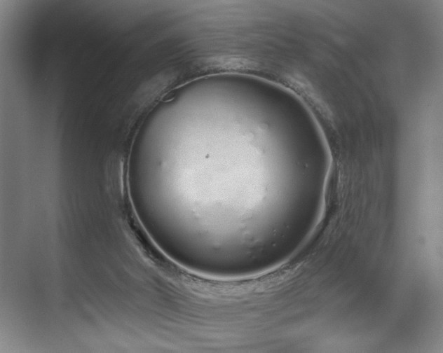 X0000070880014200606161214