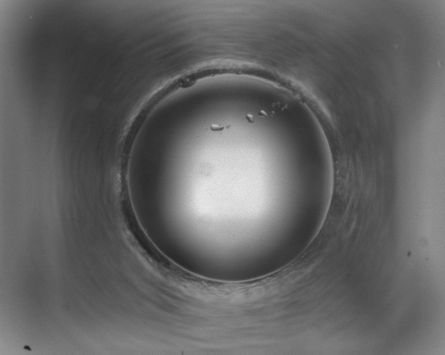 X0000070880015200606161214