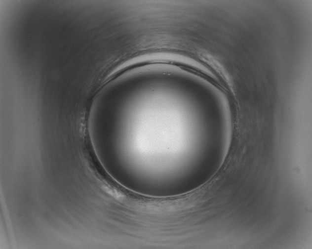 X0000070880017200606161214