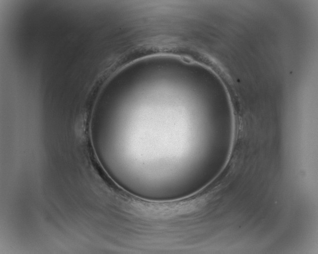 X0000070880018200606161214