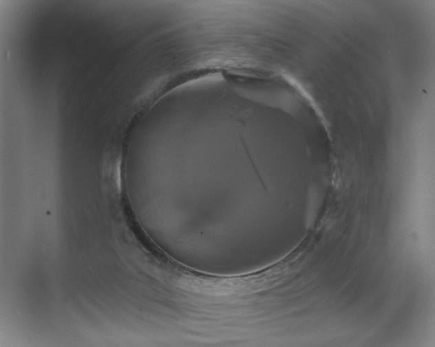 X0000070880019200606161214