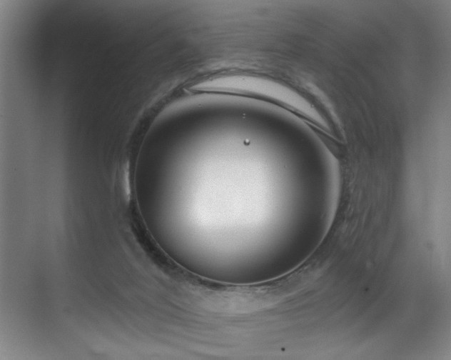 X0000070880020200606161214