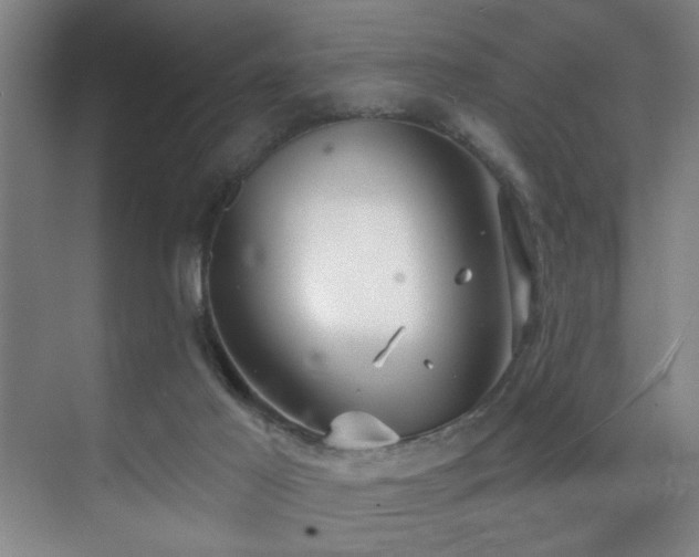 X0000070880021200606161214