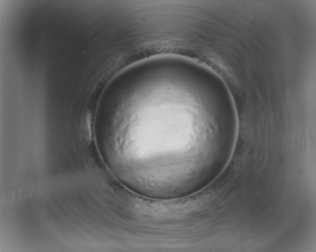 X0000070880022200606161214