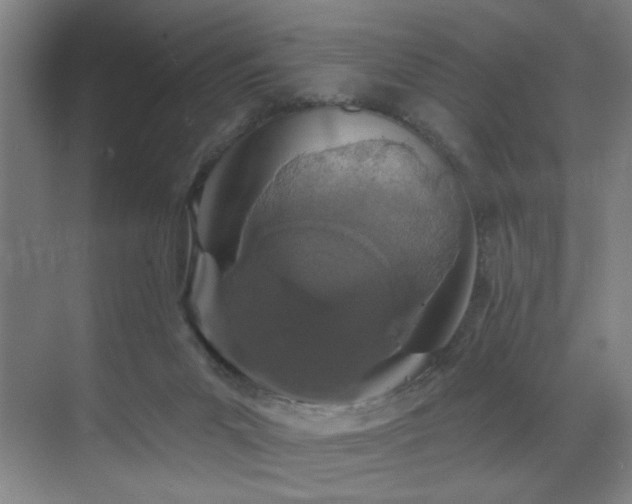 X0000070880023200606161214