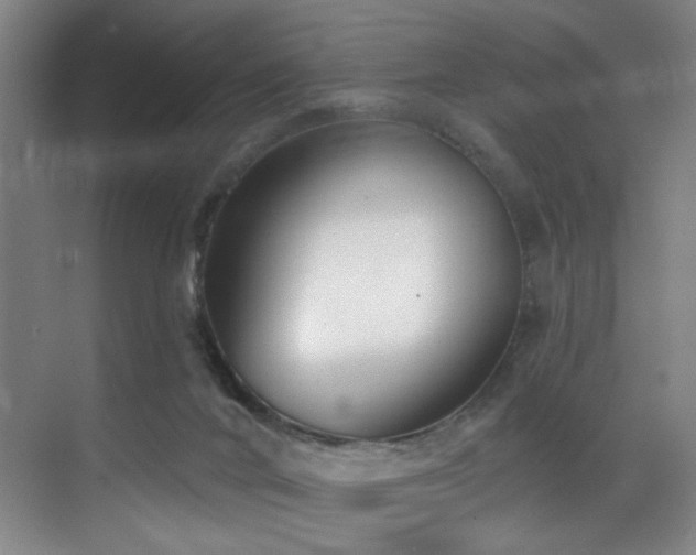 X0000070880024200606161214