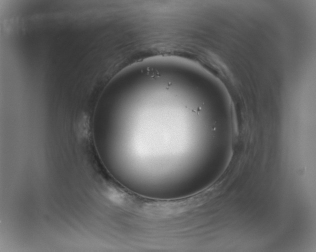 X0000070880025200606161214