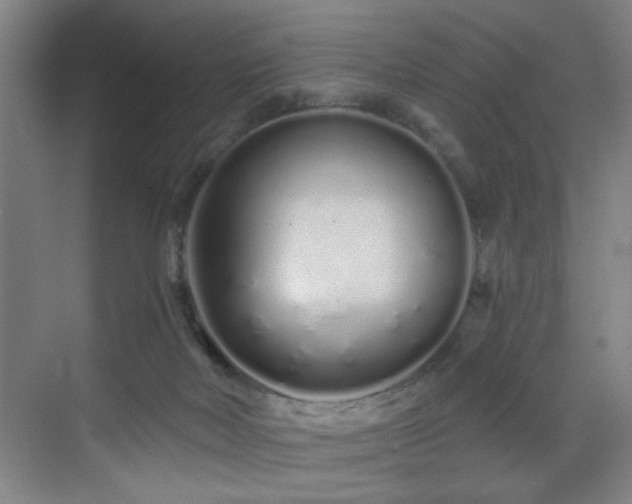 X0000070880026200606161214