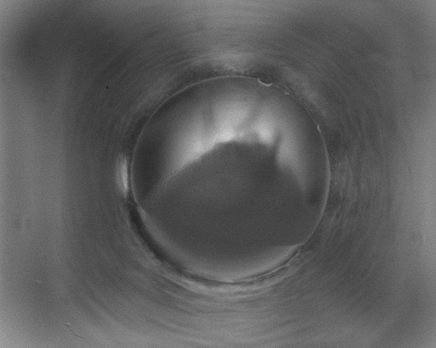 X0000070880027200606161214