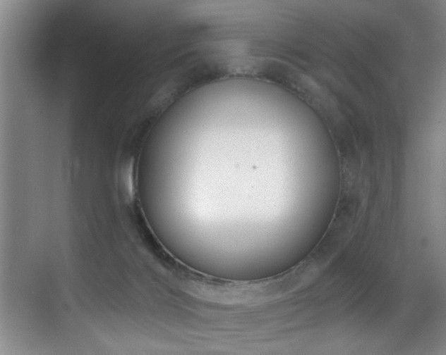 X0000070880028200606161214