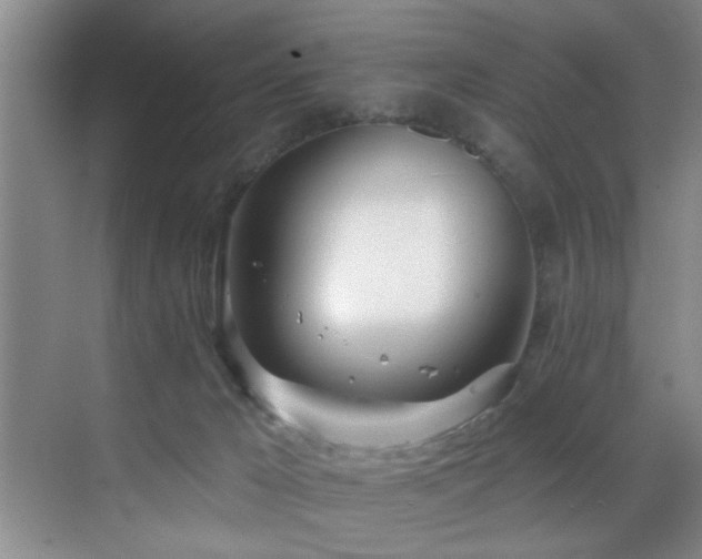 X0000070880029200606161214