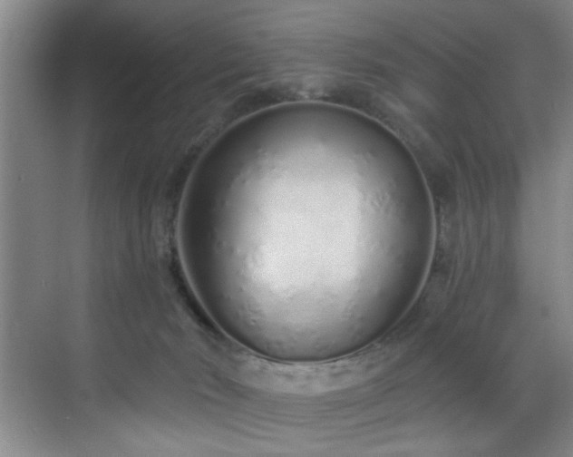 X0000070880030200606161214