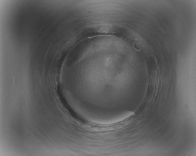 X0000070880031200606161214