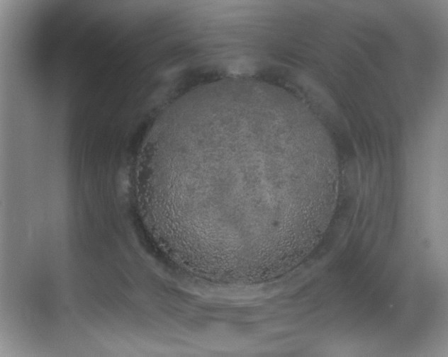 X0000070880032200606161214