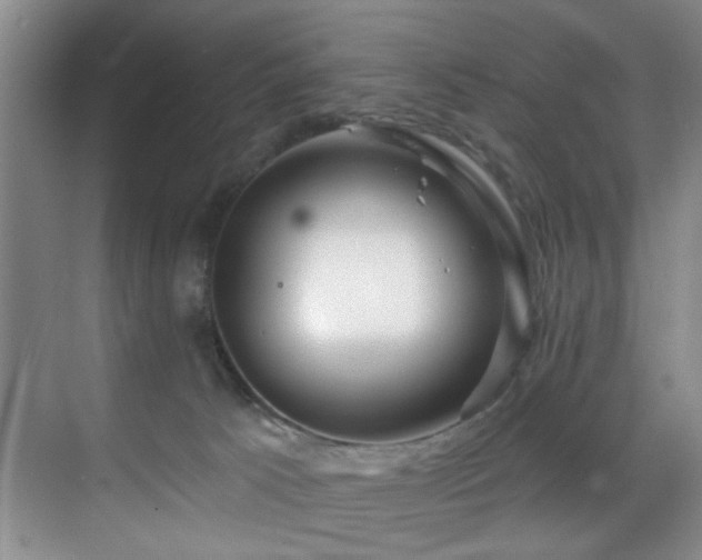 X0000070880033200606161214