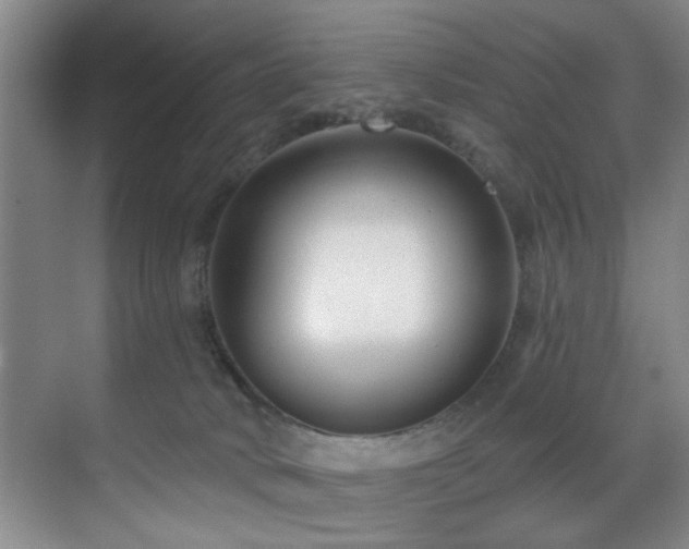 X0000070880034200606161214