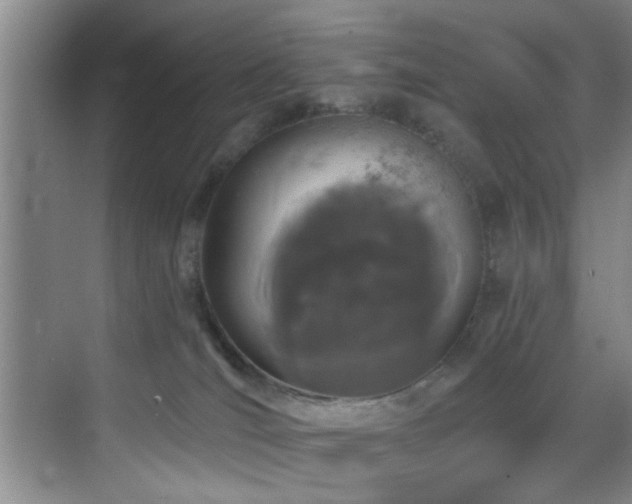 X0000070880036200606161214