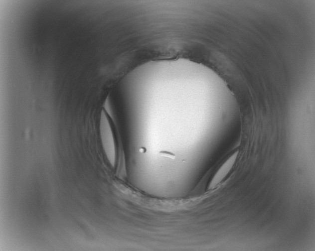 X0000070880037200606161214