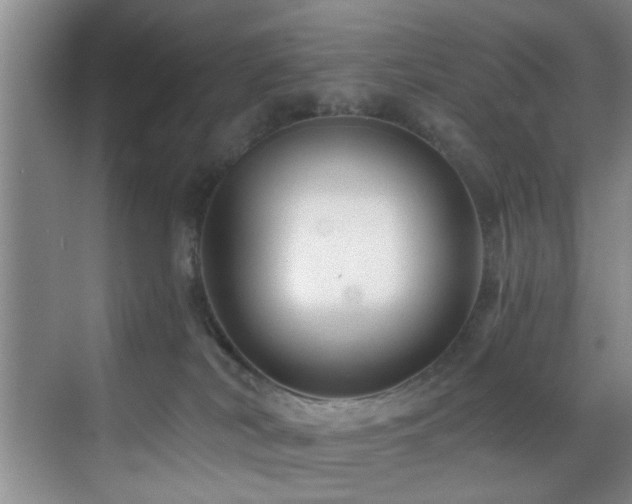 X0000070880038200606161214