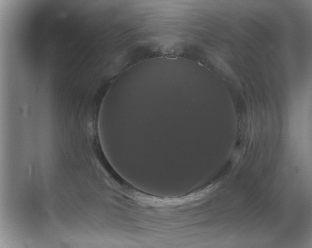 X0000070880039200606161214