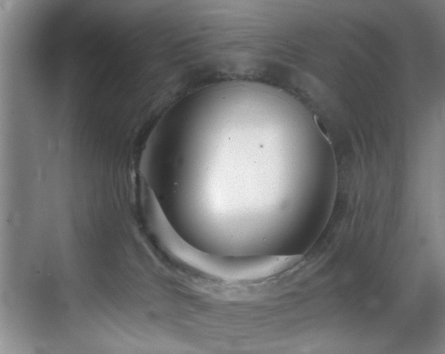 X0000070880040200606161214