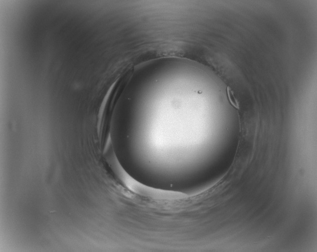 X0000070880041200606161214