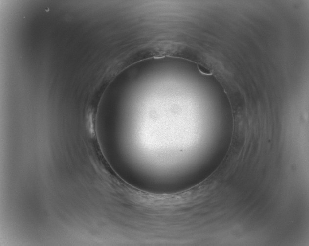 X0000070880042200606161214