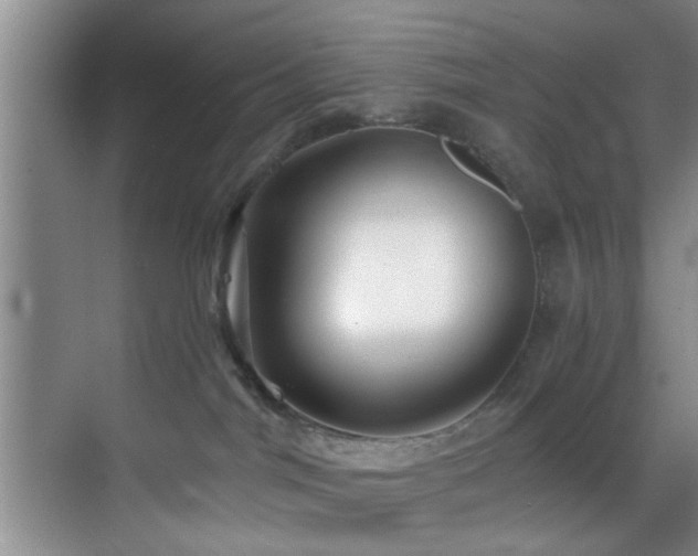 X0000070880044200606161214