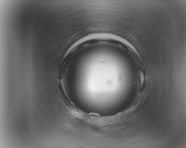 X0000070880045200606161214