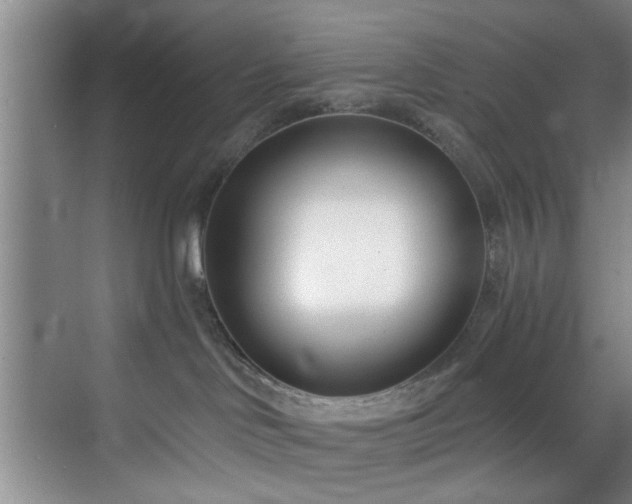 X0000070880046200606161214