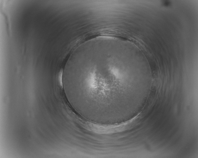 X0000070880047200606161214