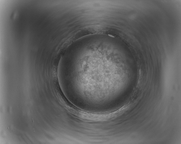 X0000070880048200606161214