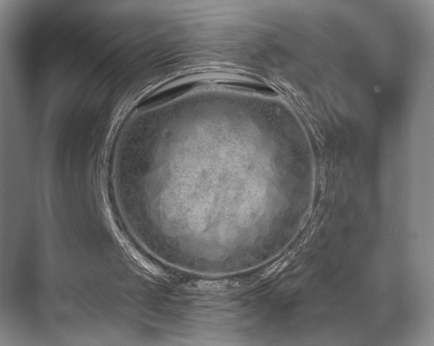 X0000070880049200606161213