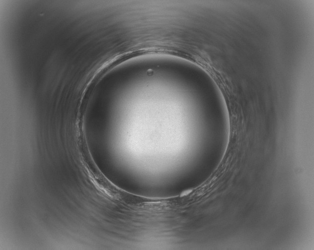 X0000070880050200606161213