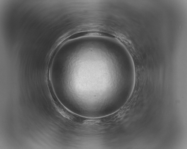 X0000070880051200606161213