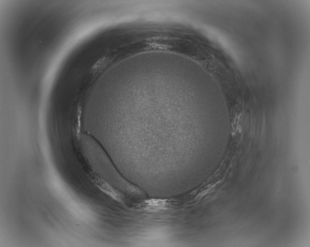 X0000070880052200606161213