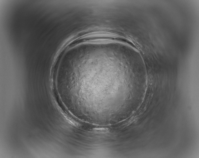 X0000070880053200606161213