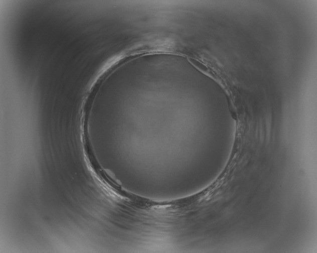 X0000070880054200606161213